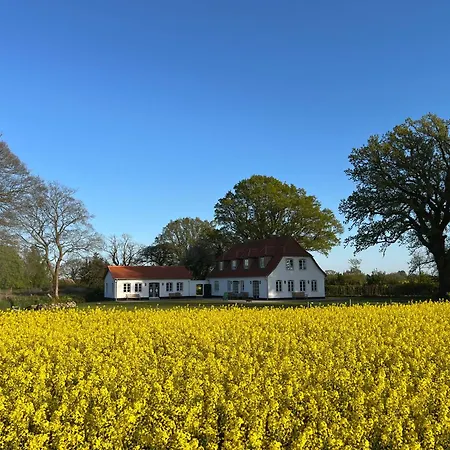An Der Schlei Villa