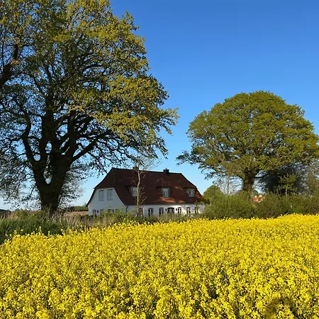 Villa An Der Schlei *